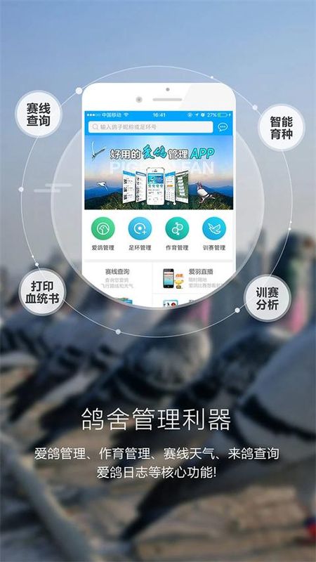 爱鸽者_图片3