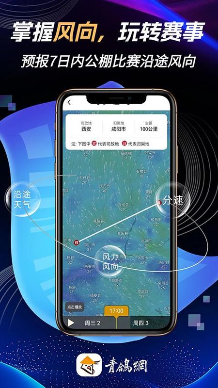 青鸽网_图片3