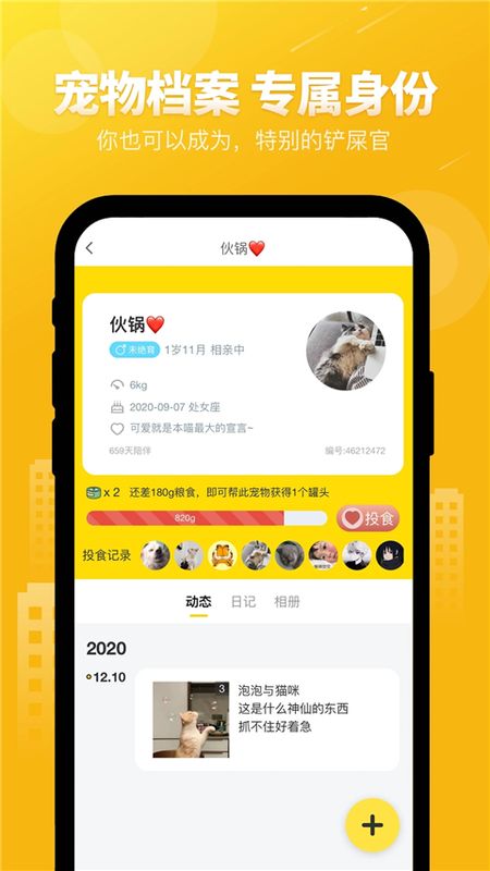 友猫_图片3