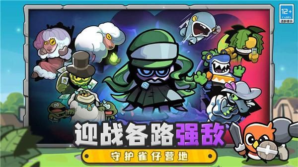 雀仔营地_图片4