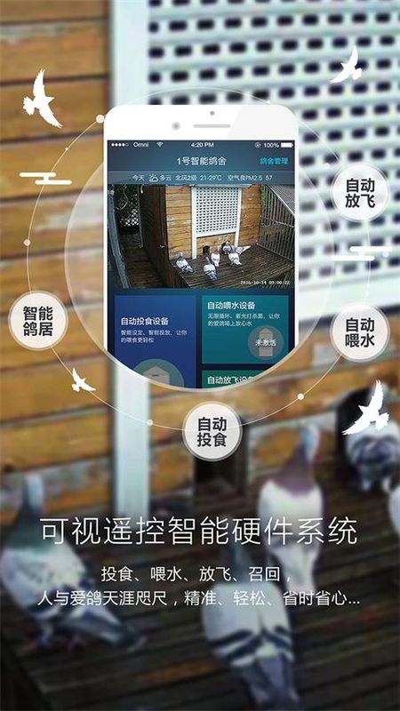 爱鸽者_图片4