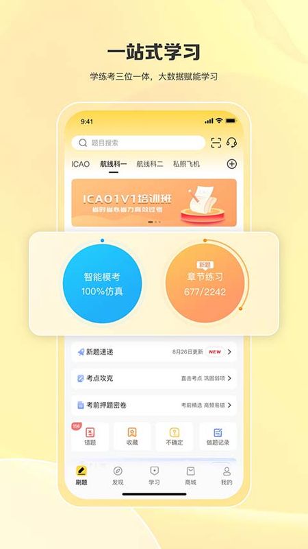 飞行之翼_图片4