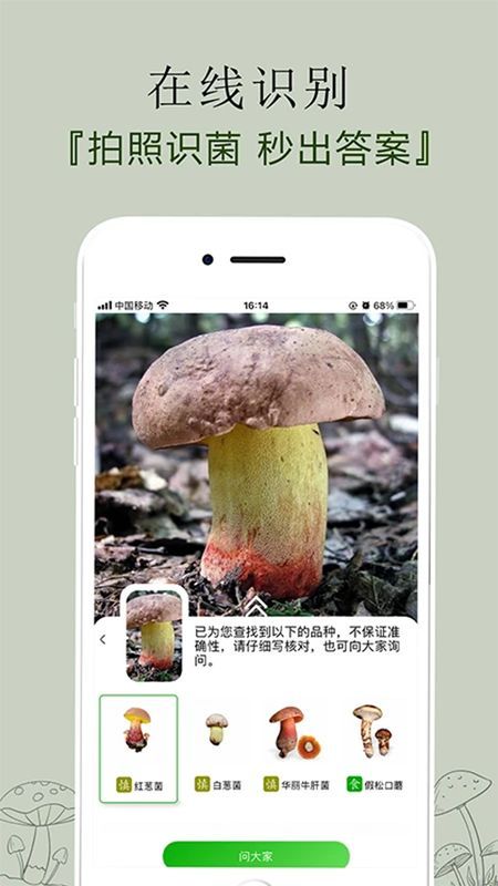 菌窝子_图片3