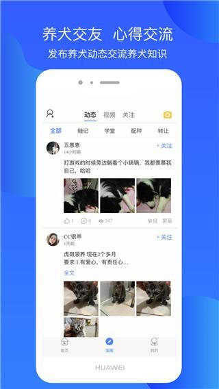 犬卫士_图片2