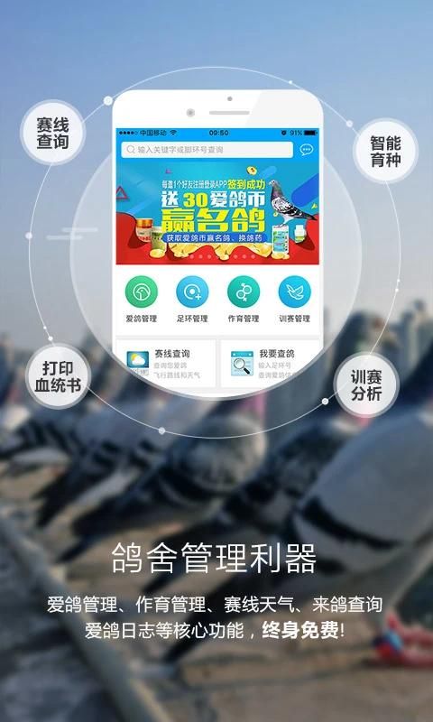 爱鸽者_图片1