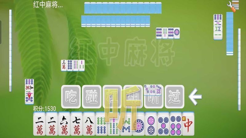 全番单机麻将_图片3
