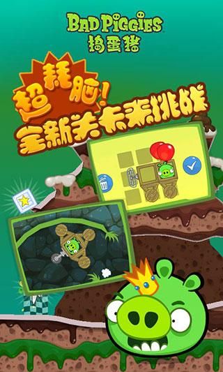 捣蛋猪_图片4