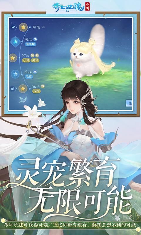 倩女幽魂_图片5