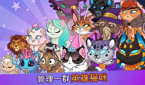 城堡猫_图片2
