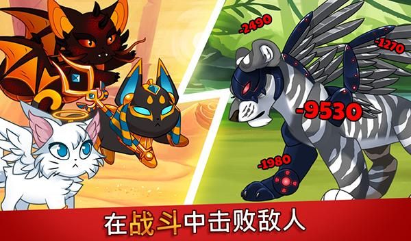 城堡猫_图片4