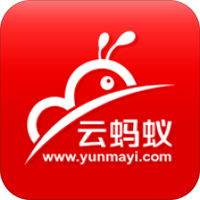 云蚂蚁