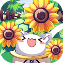 猫咪花盆