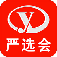 严选会电商