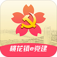 桃花镇e党建