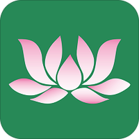 莲花停车