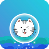 猫儿飞起