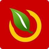 首叶宝