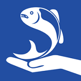 RiverEye江湖眼