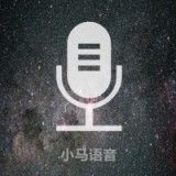 中英语音翻译器