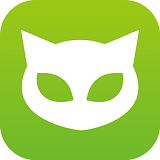 斑点猫