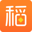 稻子金服