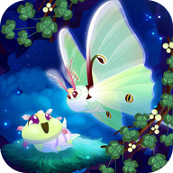 彩翼之星夜