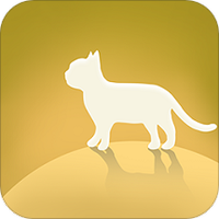 猫咪世界