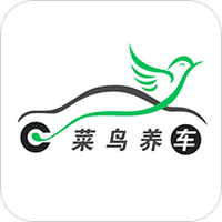 菜鸟养车