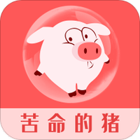 苦命的猪