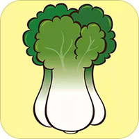 白菜装修