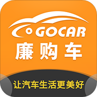 廉购车
