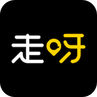 走呀智联