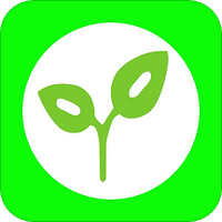 身边菜市场