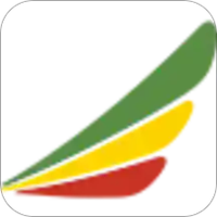 Ethiopian Airlines