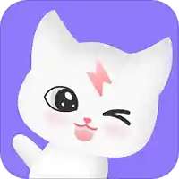 闪约猫