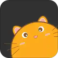 淘猫饭