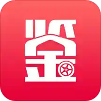 车鉴定