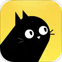 叮叮猫