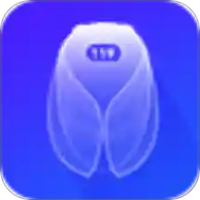 小金蝉