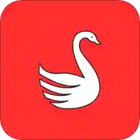 选校宝