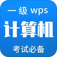 计算机一级WPS