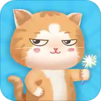 小小计划