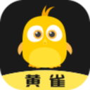 黄雀