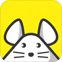猫耳