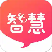 集集智慧
