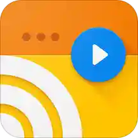 Web Video Caster