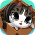 盒子里的猫