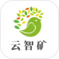 云智矿