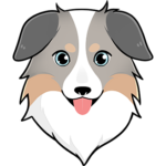 牧羊犬币