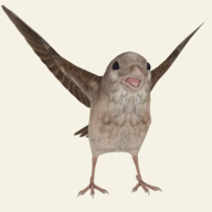 救救那鸟